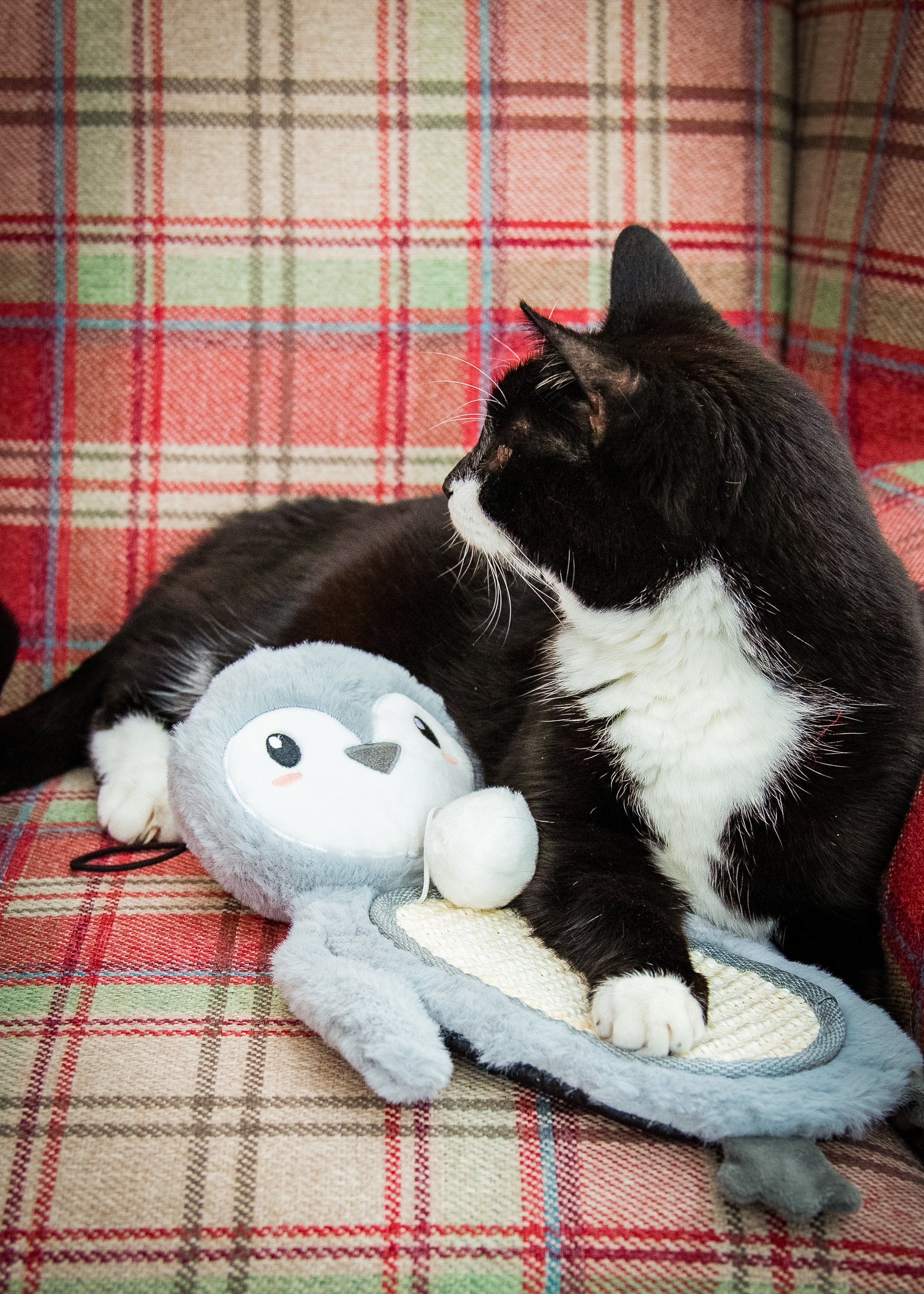 Mr Poppy Penguin Scratcher Mat