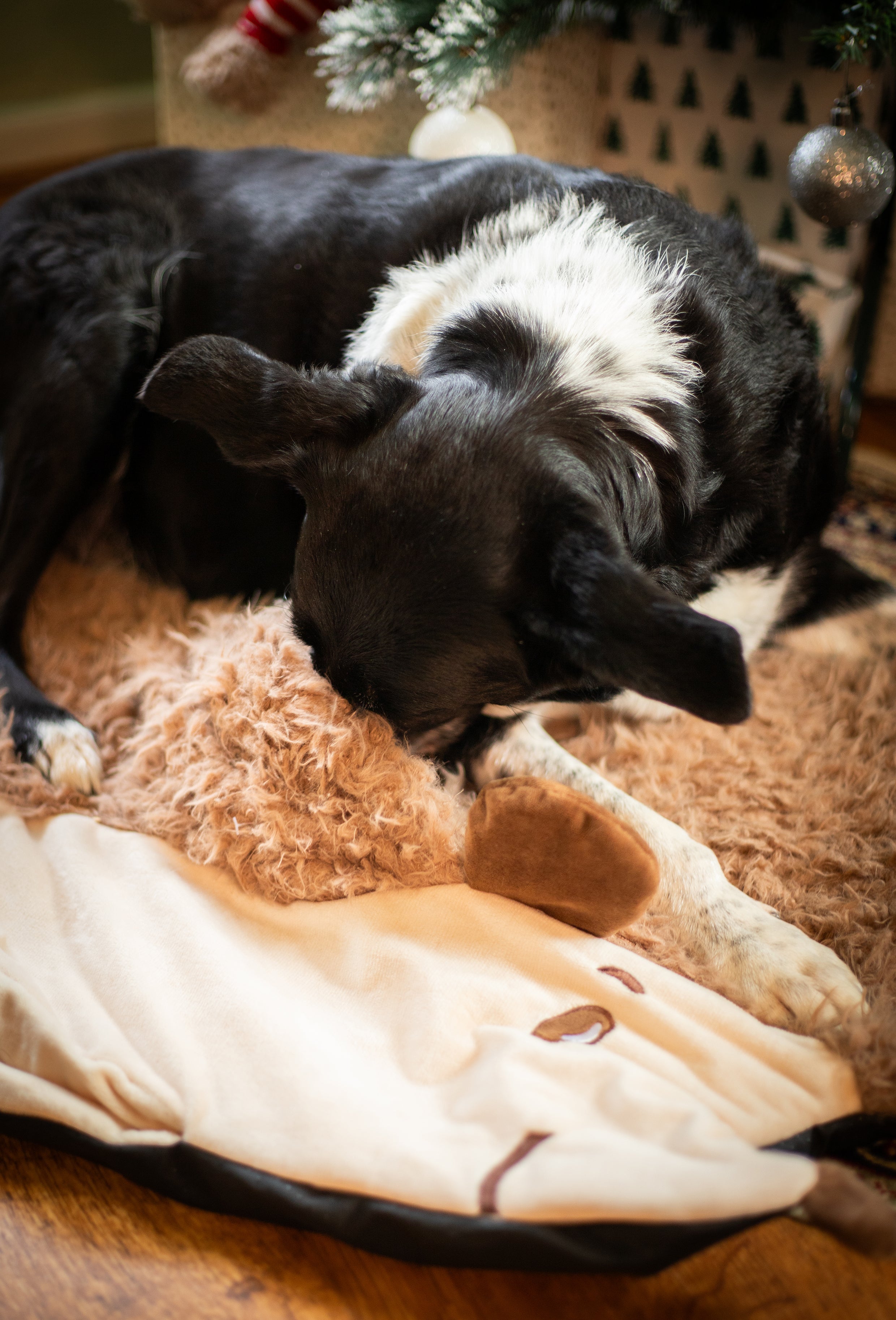 Hedgehog Snuffle & Burrow Blanket