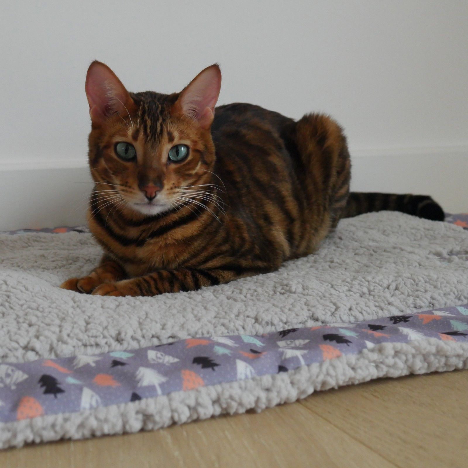Luxury Winter Blanket & Toy