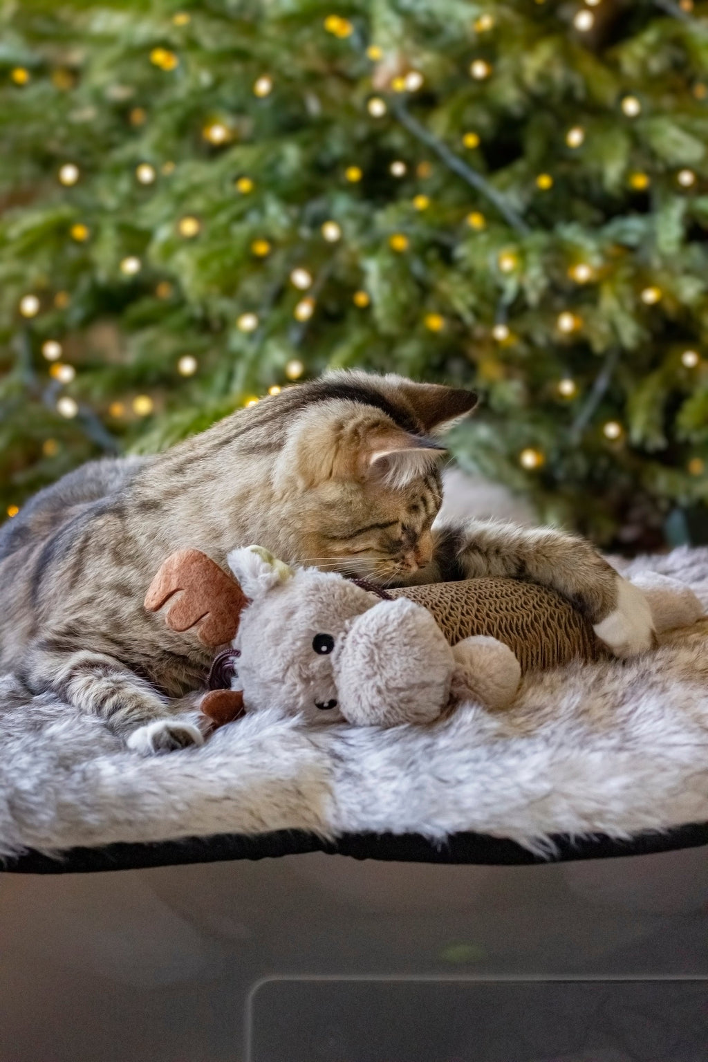 Reindeer Cardboard Cat Scratcher