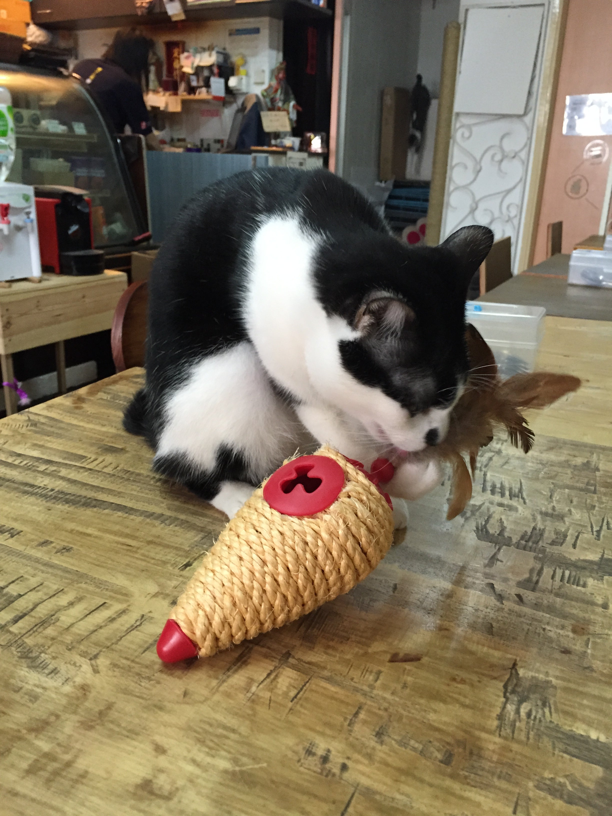 L'Chic Roll Play Cone