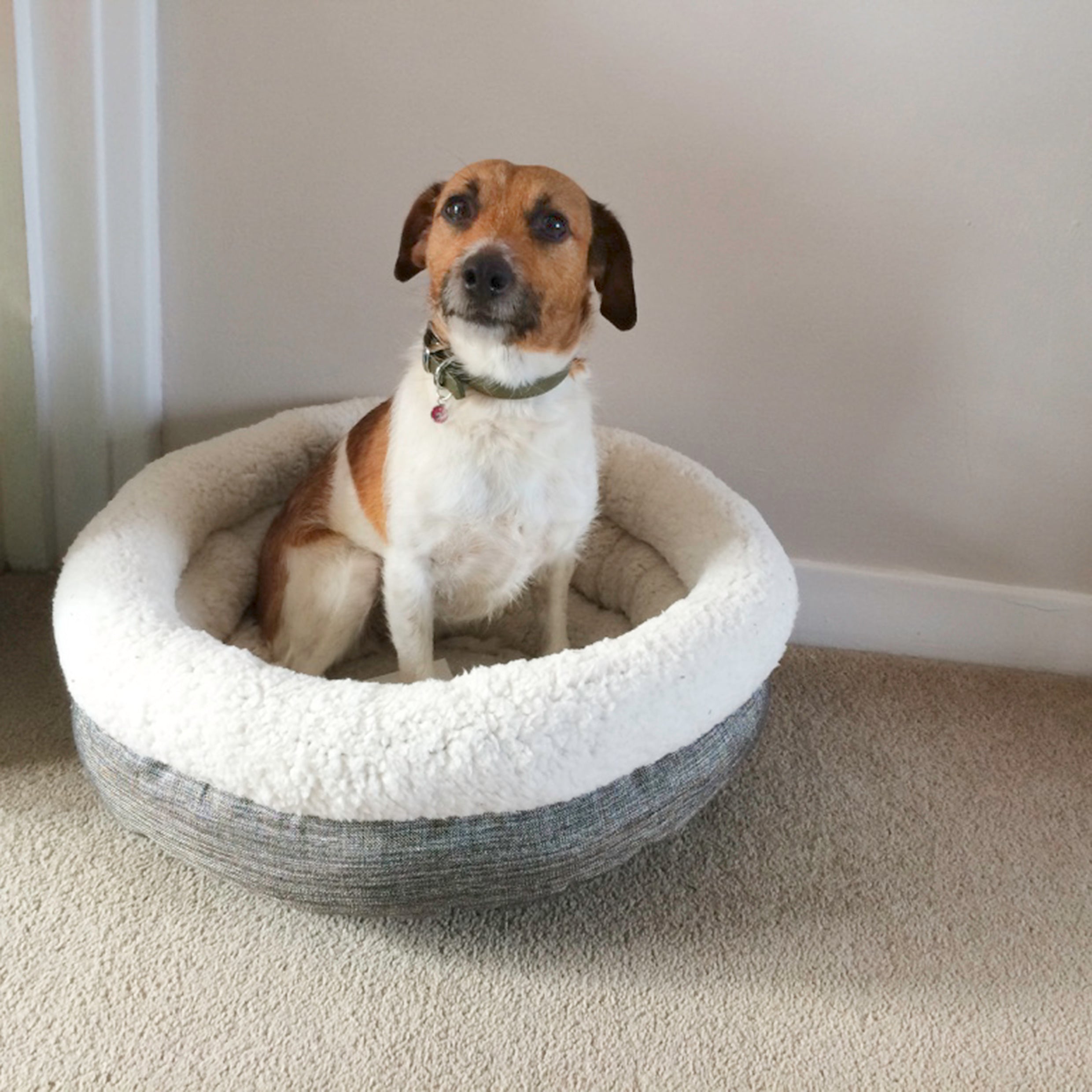 Rosewood_Deep Tweed Teddy Bear Round Bed