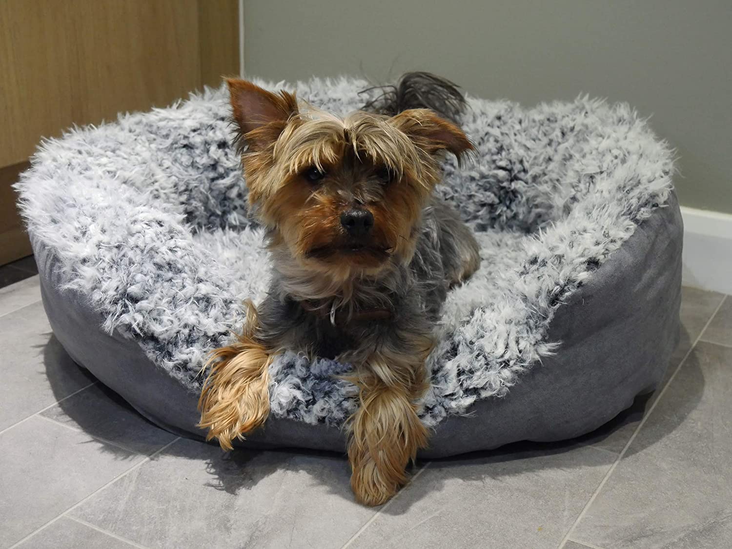 Rosewood_Grey Lion Faux Suede Oval Bed