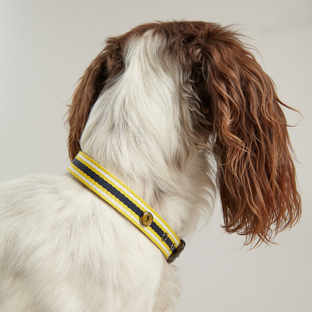 Rosewood_Joules Navy Coastal Dog Collars