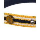 Rosewood_Joules Navy Coastal Dog Collars