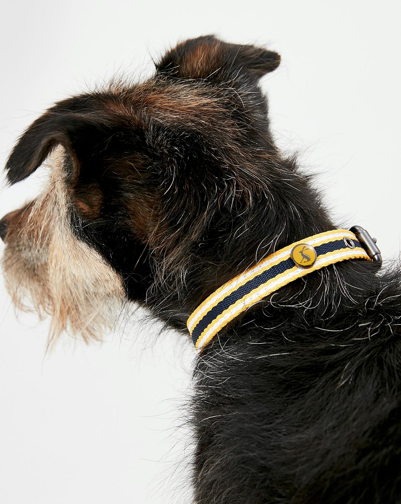 Rosewood_Joules Navy Coastal Dog Collars