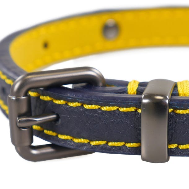 Rosewood_Joules Navy Leather Dog Collars