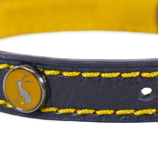 Rosewood_Joules Navy Leather Dog Collars