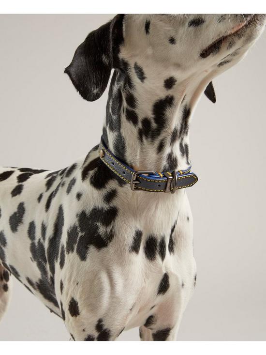 Rosewood_Joules Navy Leather Dog Collars