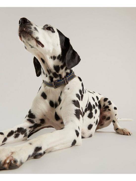 Rosewood_Joules Navy Leather Dog Collars