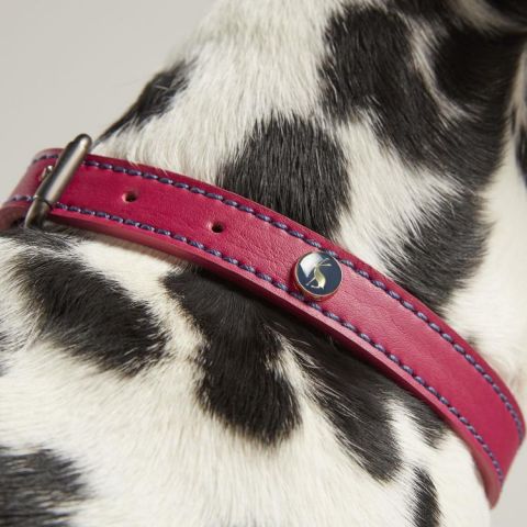 Rosewood_Joules Pink Leather Dog Collars