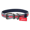 Rosewood_Joules Striped Dog Collars