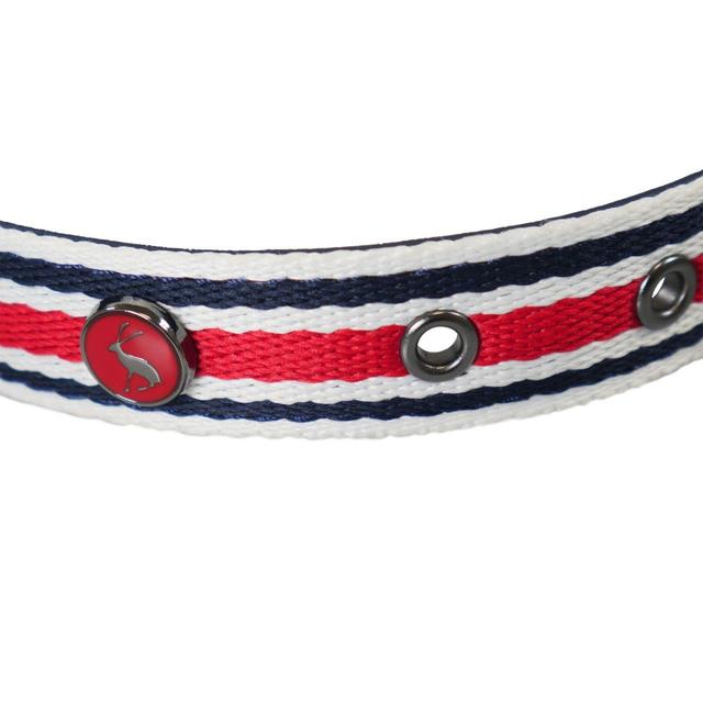 Rosewood_Joules Striped Dog Collars