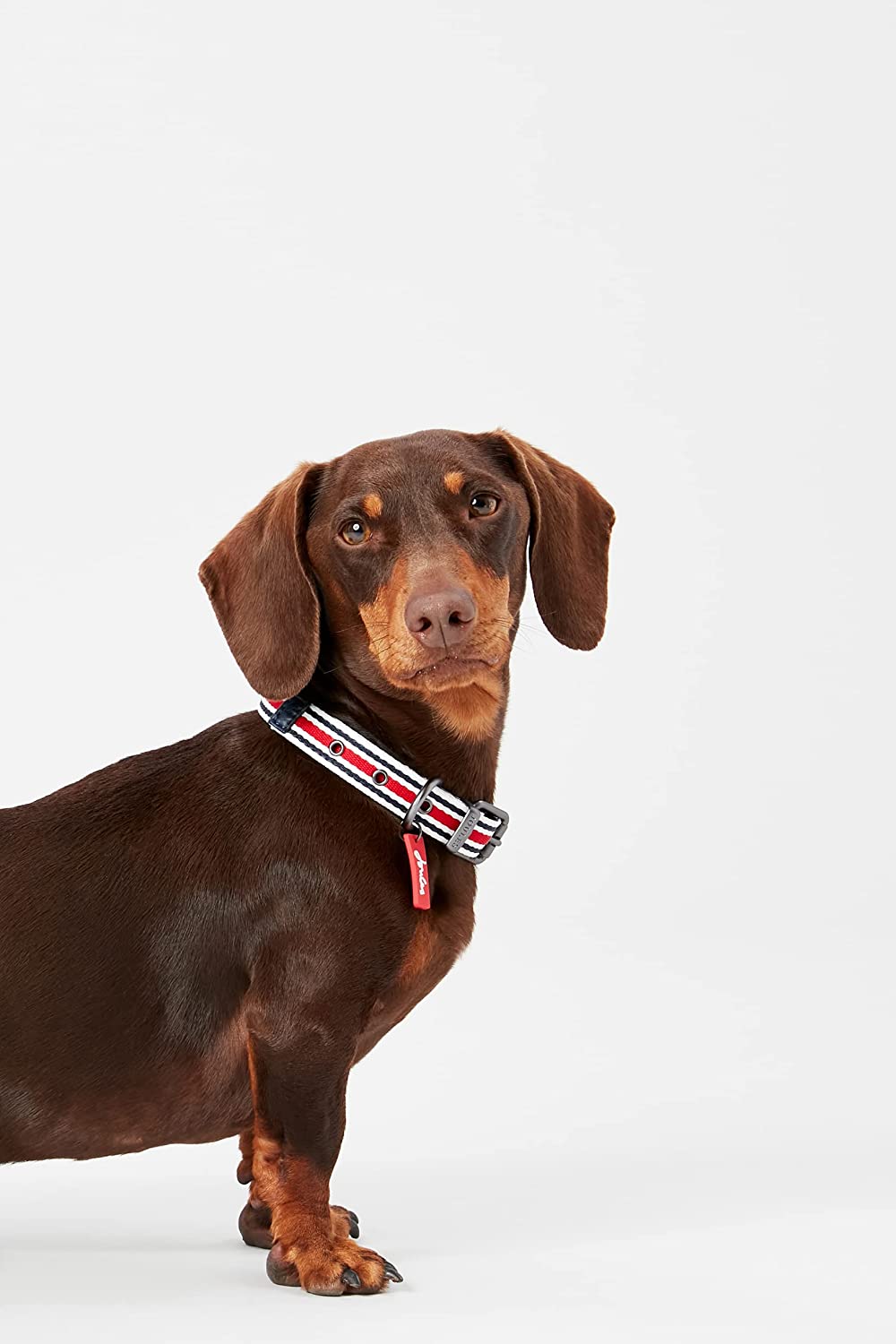 Rosewood_Joules Striped Dog Collars
