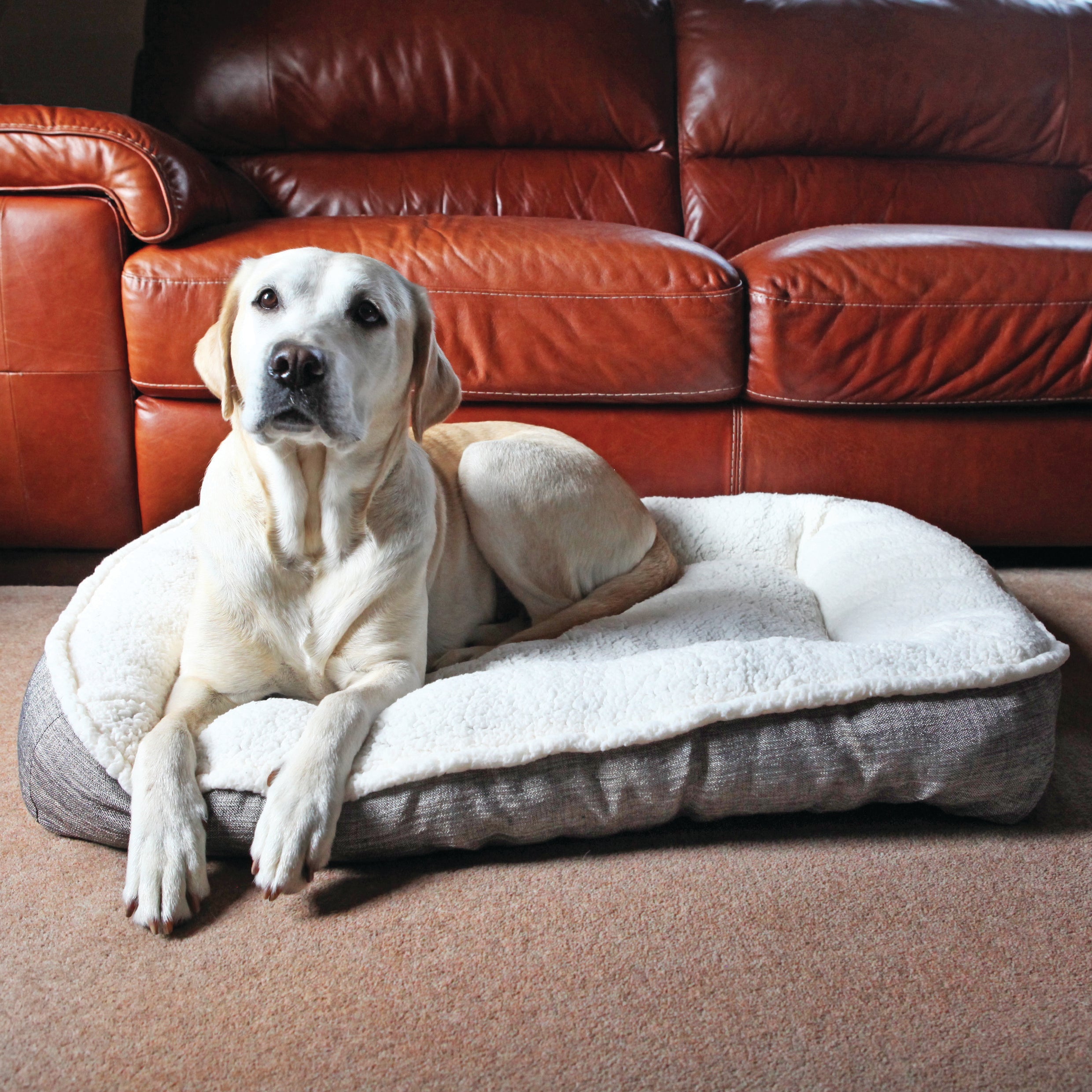Rosewood_Plush/Tweed Teddy Bear Mattress