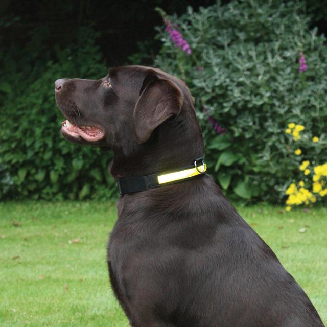 Rosewood_Premium Flashing Collar