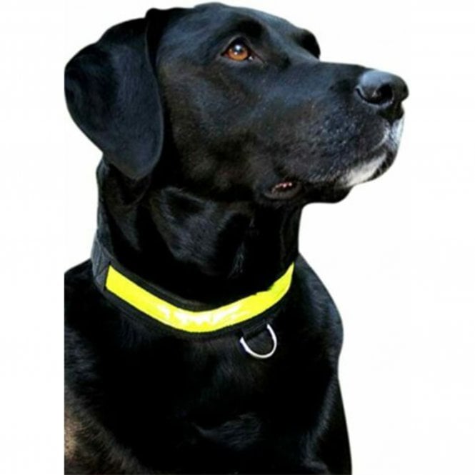 Rosewood_Premium Flashing Collar