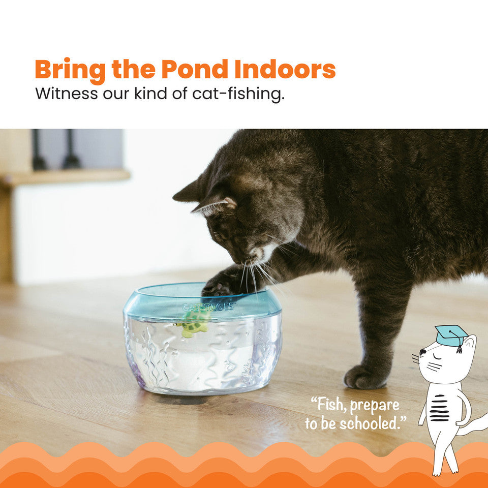 Meow-smerizing Fish Bowl