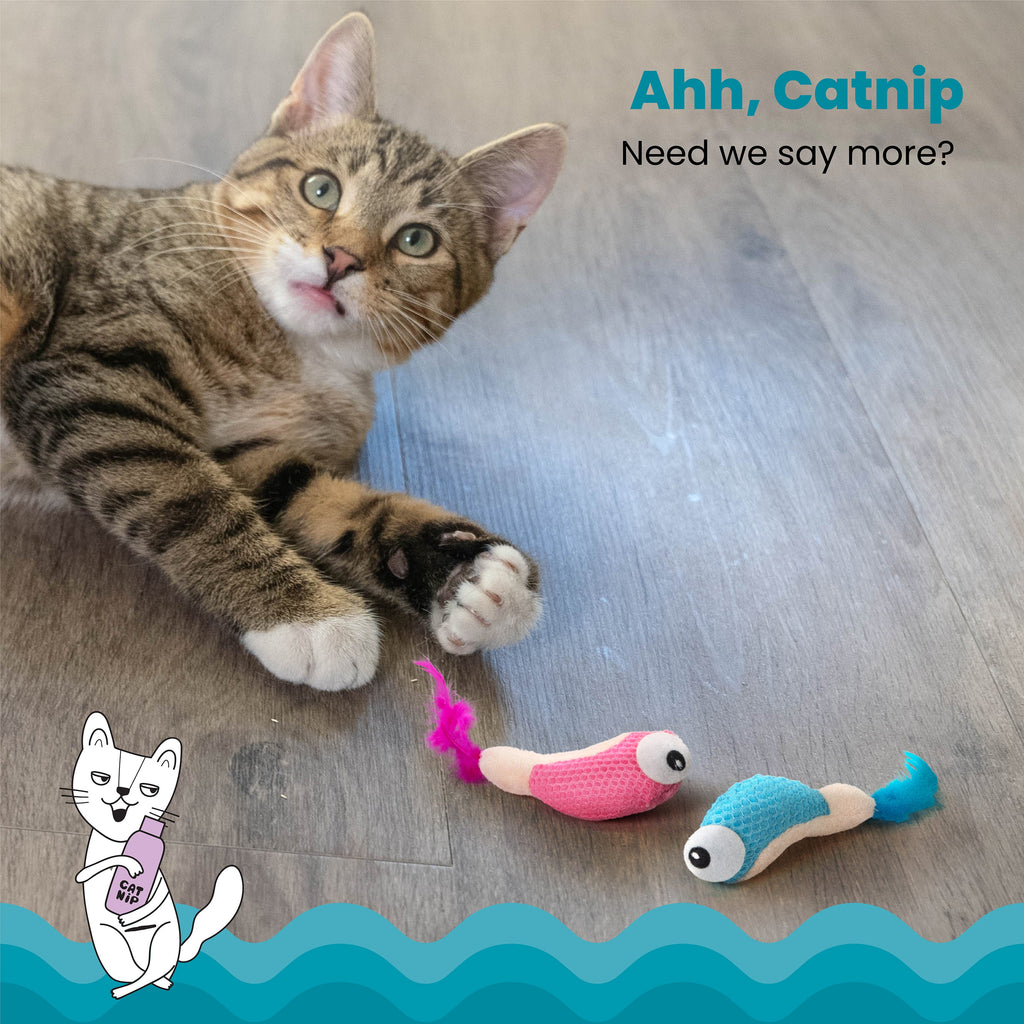 Catstages Dental Shrimpies