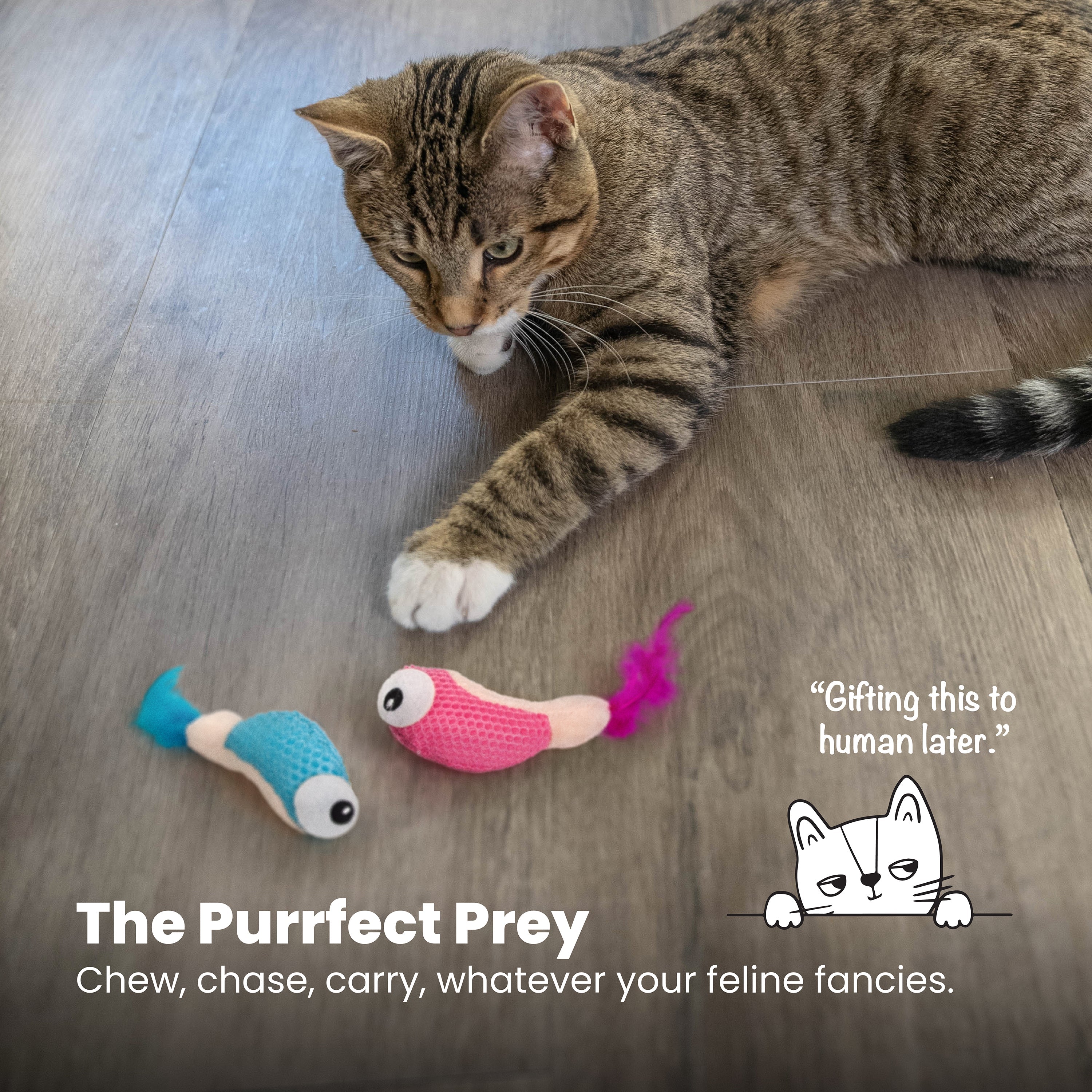 Catstages Dental Shrimpies