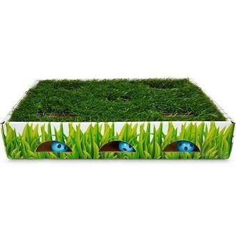 Grass Patch Hunting Box