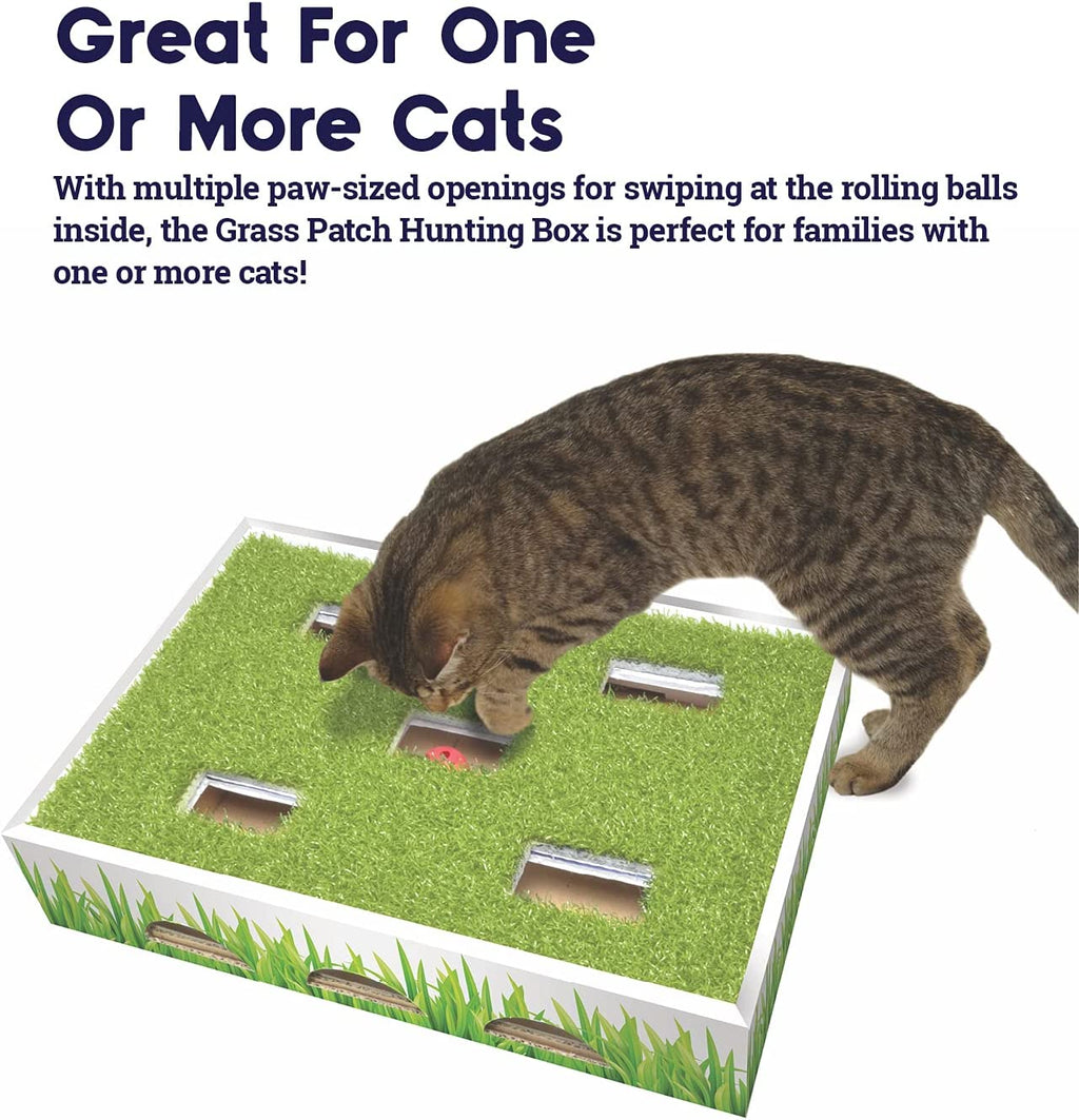 Grass Patch Hunting Box
