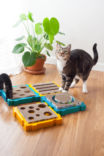 TOYC84_Catstages_Channel Scratcher