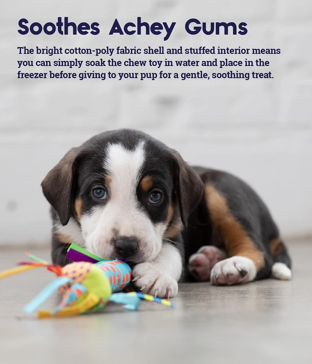 TOYD06_Petstages_Cool Teething Stick