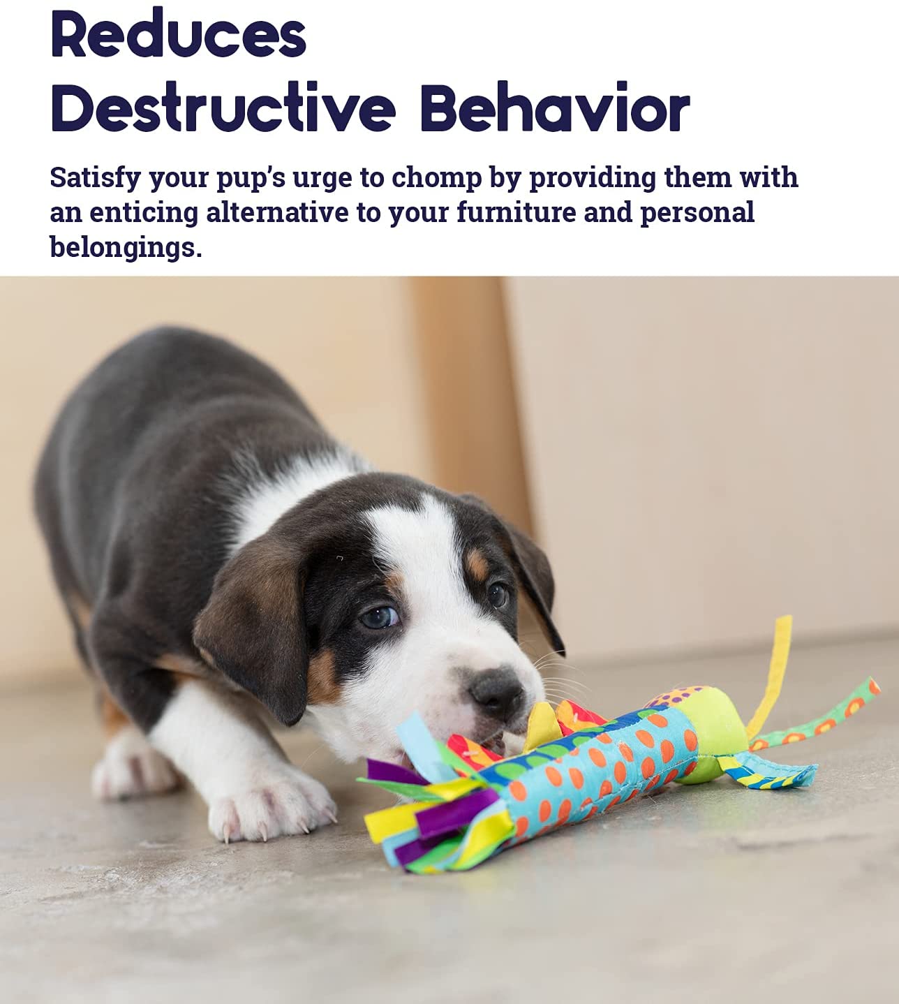 TOYD06_Petstages_Cool Teething Stick
