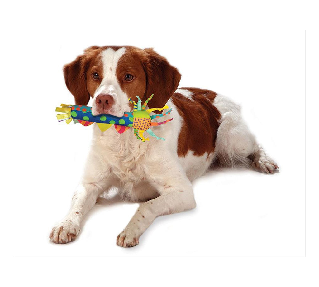 TOYD06_Petstages_Cool Teething Stick