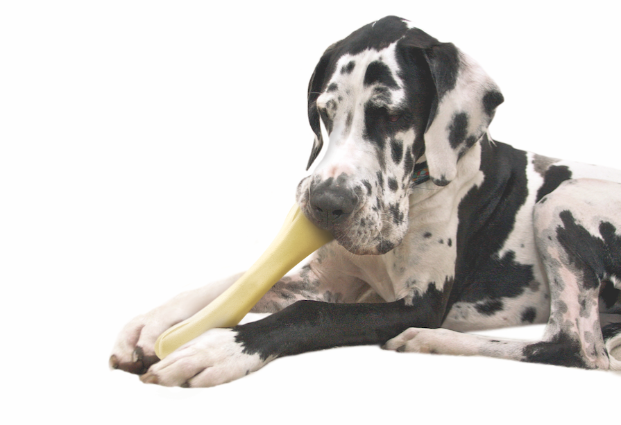 Petstages_Chick-a-Bone