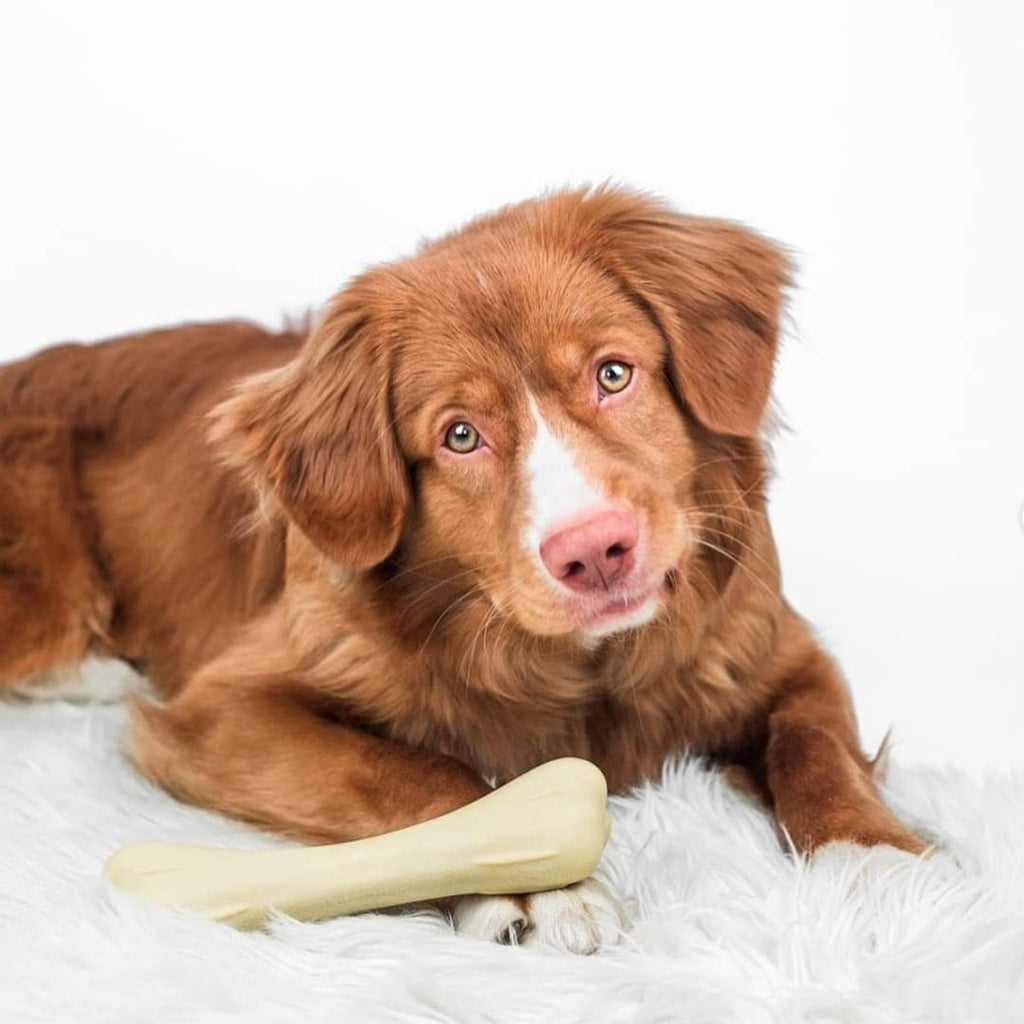 Petstages_Chick-a-Bone