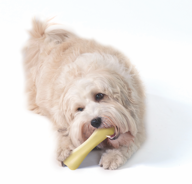Petstages_Chick-a-Bone