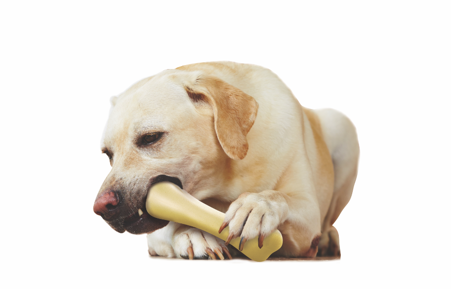 Petstages_Chick-a-Bone