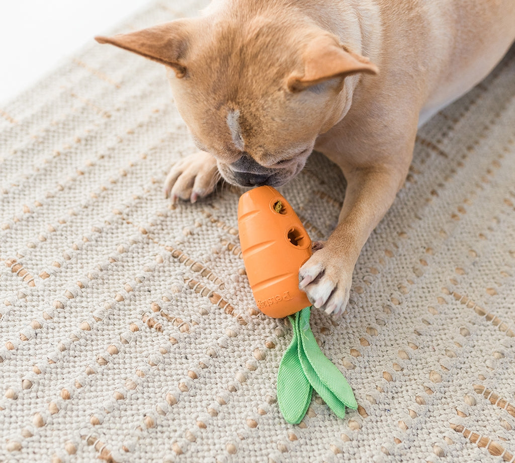 TOYD116_Petstages_Carrot Stuffer