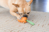 TOYD116_Petstages_Carrot Stuffer