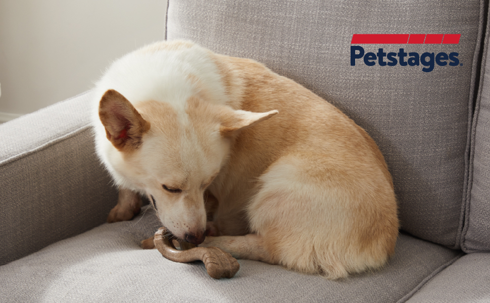 TOYD117_Petstages_Dogwood Flip & Chew Bone