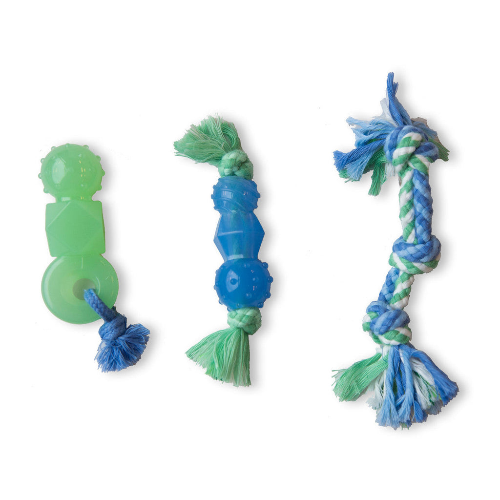 TOYD121_Petstages_Mini Dental Chewit Pack