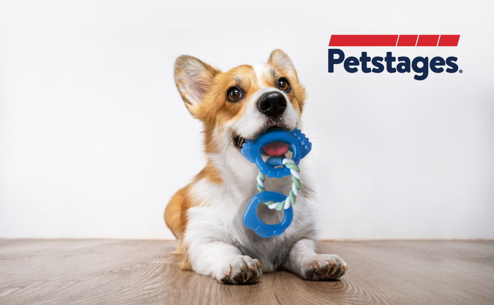 TOYD123_Petstages_Dentalinks