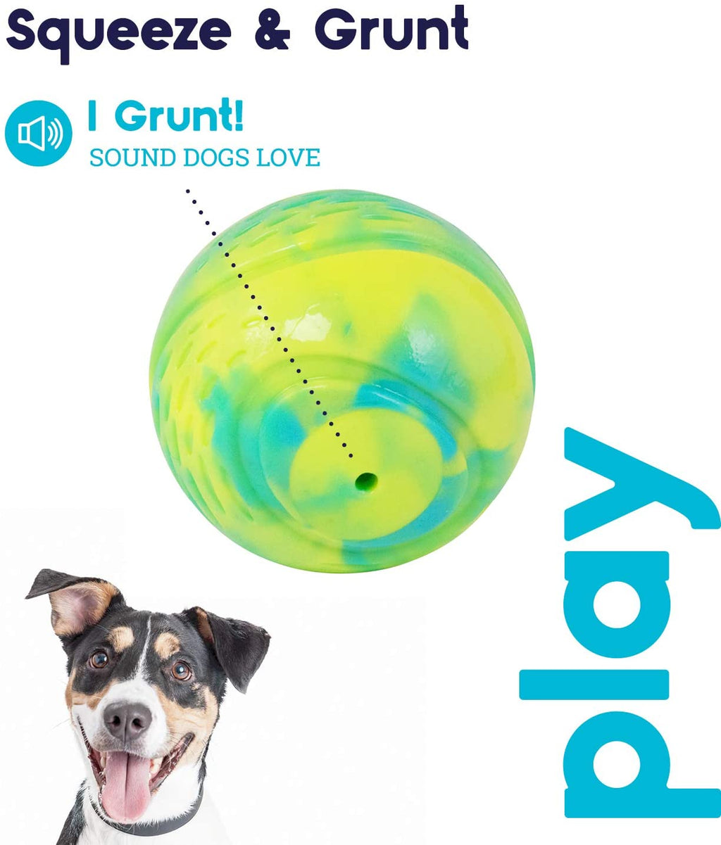 TOYD136_Petstages_Grunt 'n Punt Tennis Ball Grn