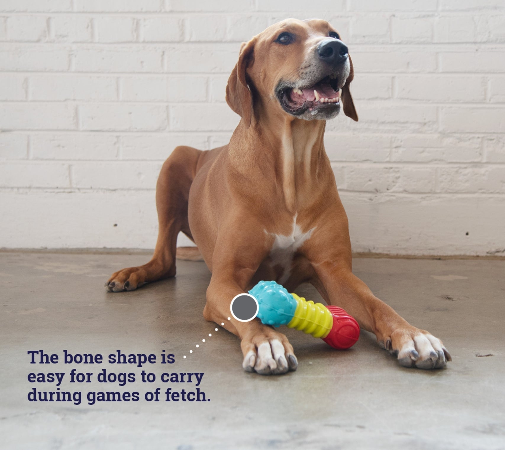 TOYD143_Petstages_Multi-squeak Bone