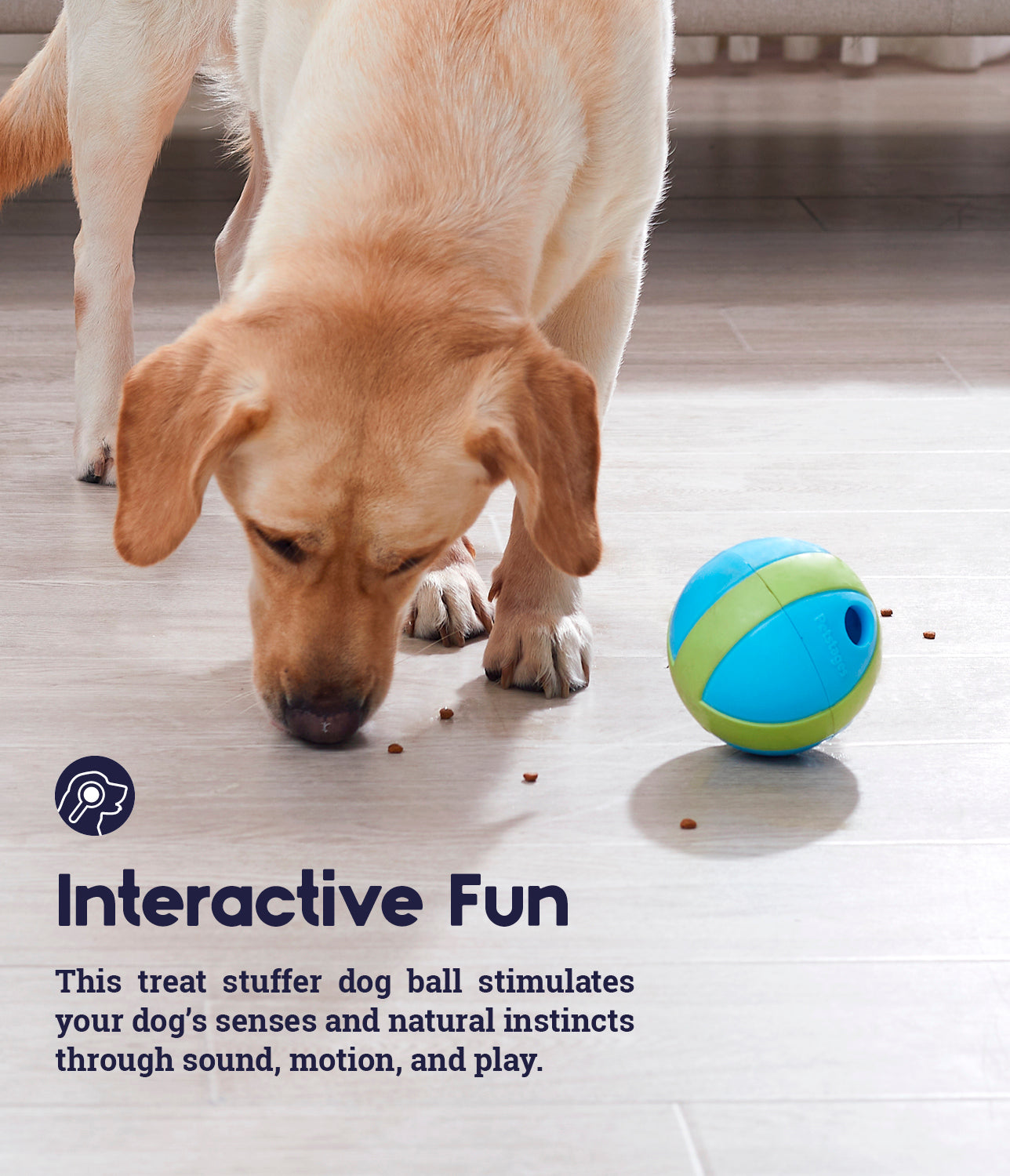 TOYD144_Petstages_Gravity_Ball