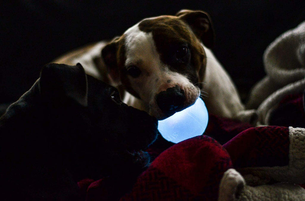 TOYD147_Pet Stages_Planet Dog_Orbee-Tuff Strobe Ball White