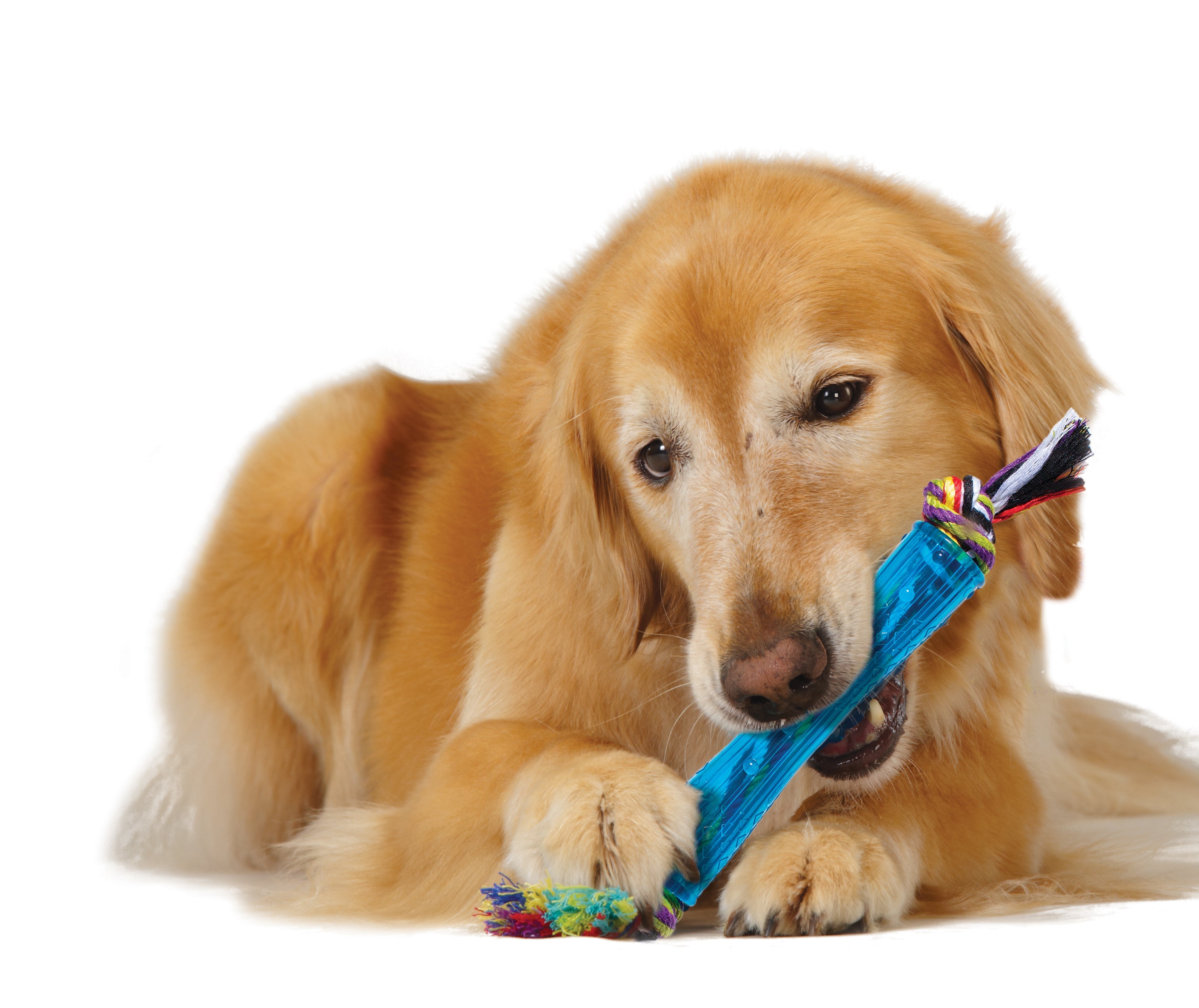 TOYD14_Petstages_ORKA Stick_3
