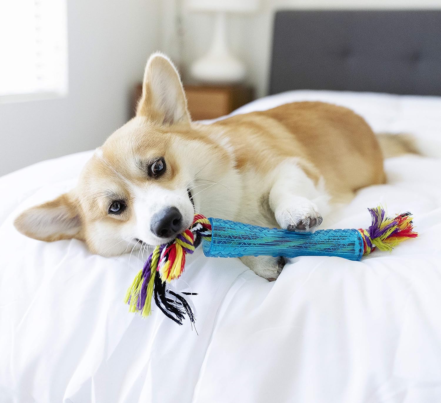 TOYD14_Petstages_ORKA Stick_4