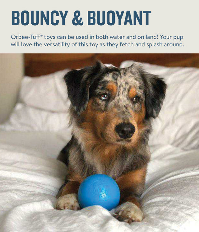 TOYD150_Petstages_Planet Dog _Squeak Ball Blue