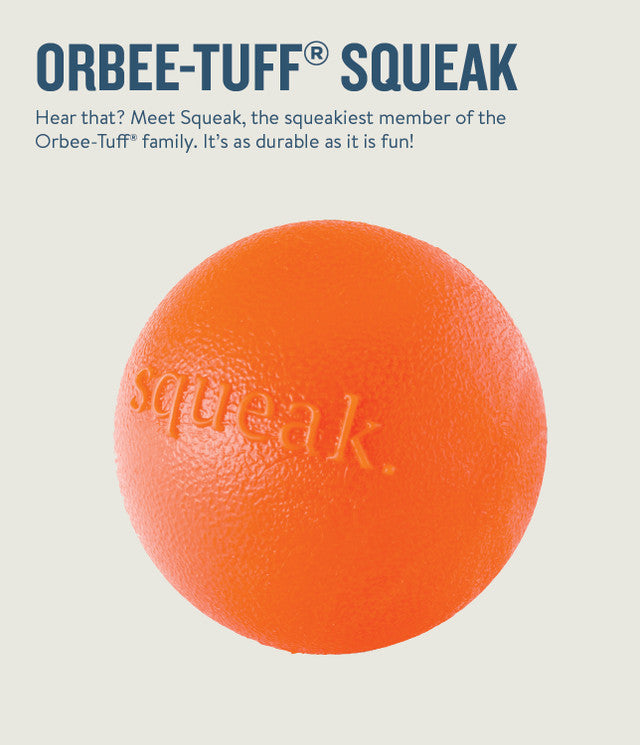 TOYD150_Petstages_Planet Dog _Squeak Ball Orange
