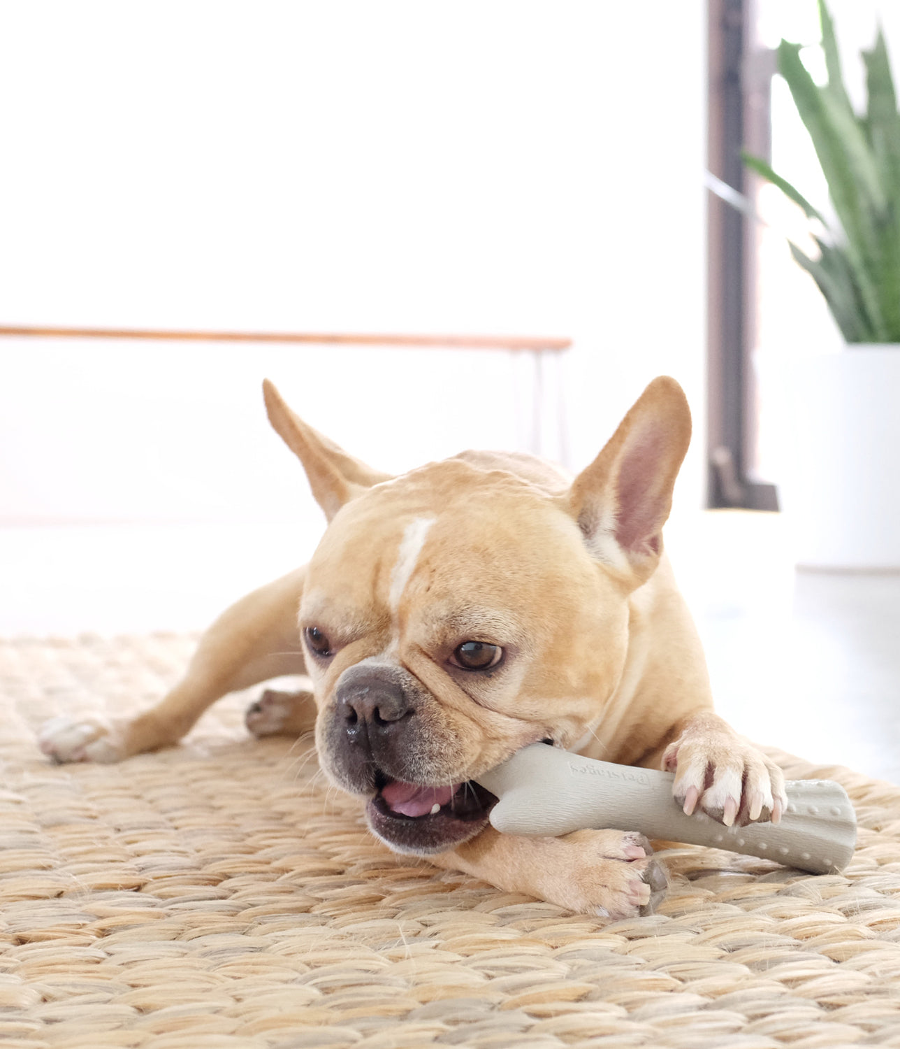 TOYD152_Outward Hound_Petstages_Deerhorn_