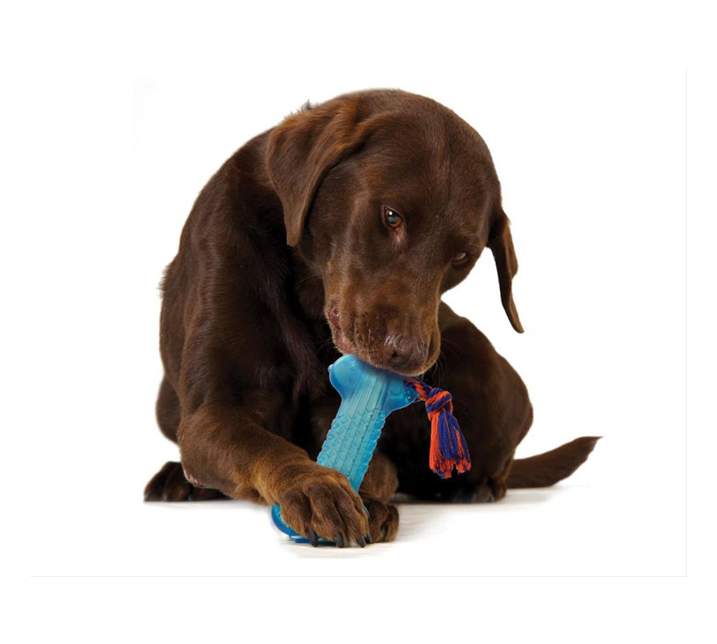 TOYD33_Petstages_ORKA Bone