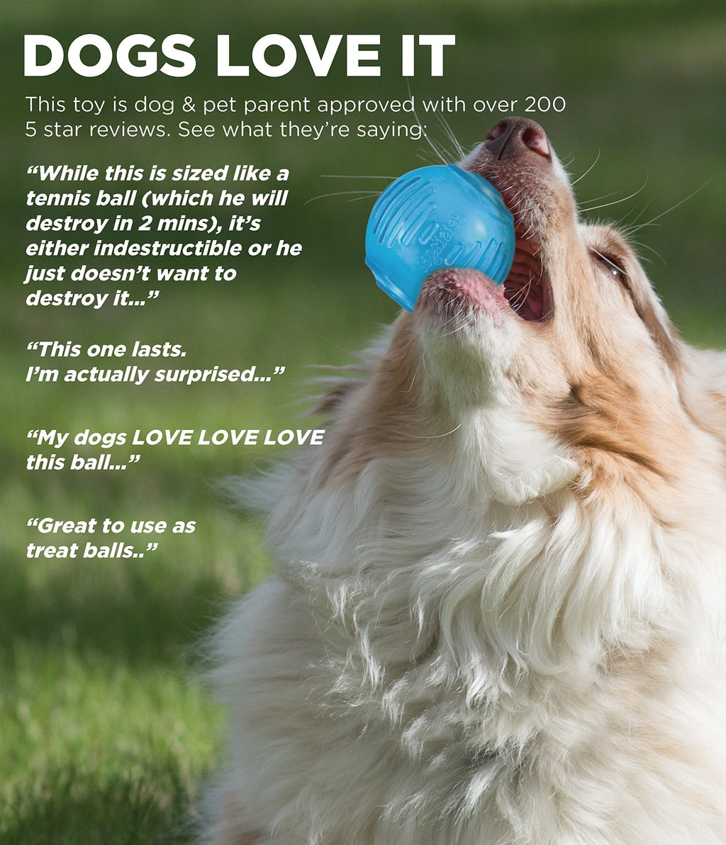 TOYD56_Outward Hound_Petstages_Orka Tennis Ball